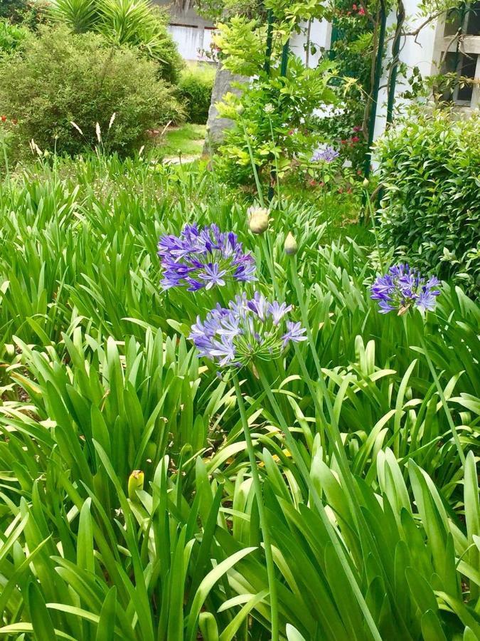 Cascais Seaside Garden Villa Екстер'єр фото